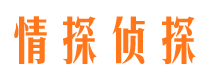 龙子湖市调查公司